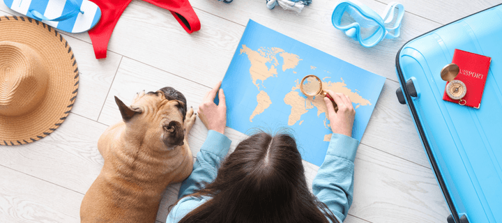 Mujer joven con su perro viendo mapa planeando su proximo viaje. Seguro USA para placas mexicanas.
