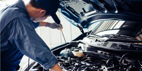 Mecánico revisa aceite de transmisión para mantenimiento de coche para viaje a Mexico. Aseguranza para Mexico