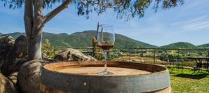 glass of wine with valle de guadalupe landscape. cheap mexican insurance. aseguranza para mexico.