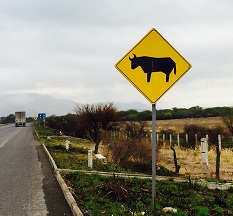 animal crossing sign